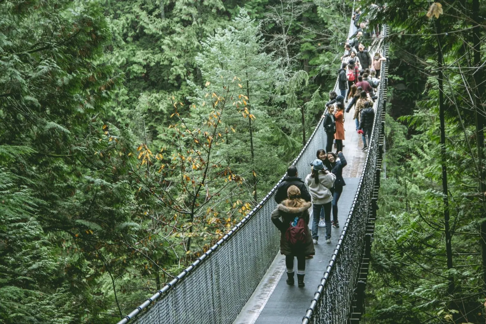 Pont penjant de Capilano, Vancouver