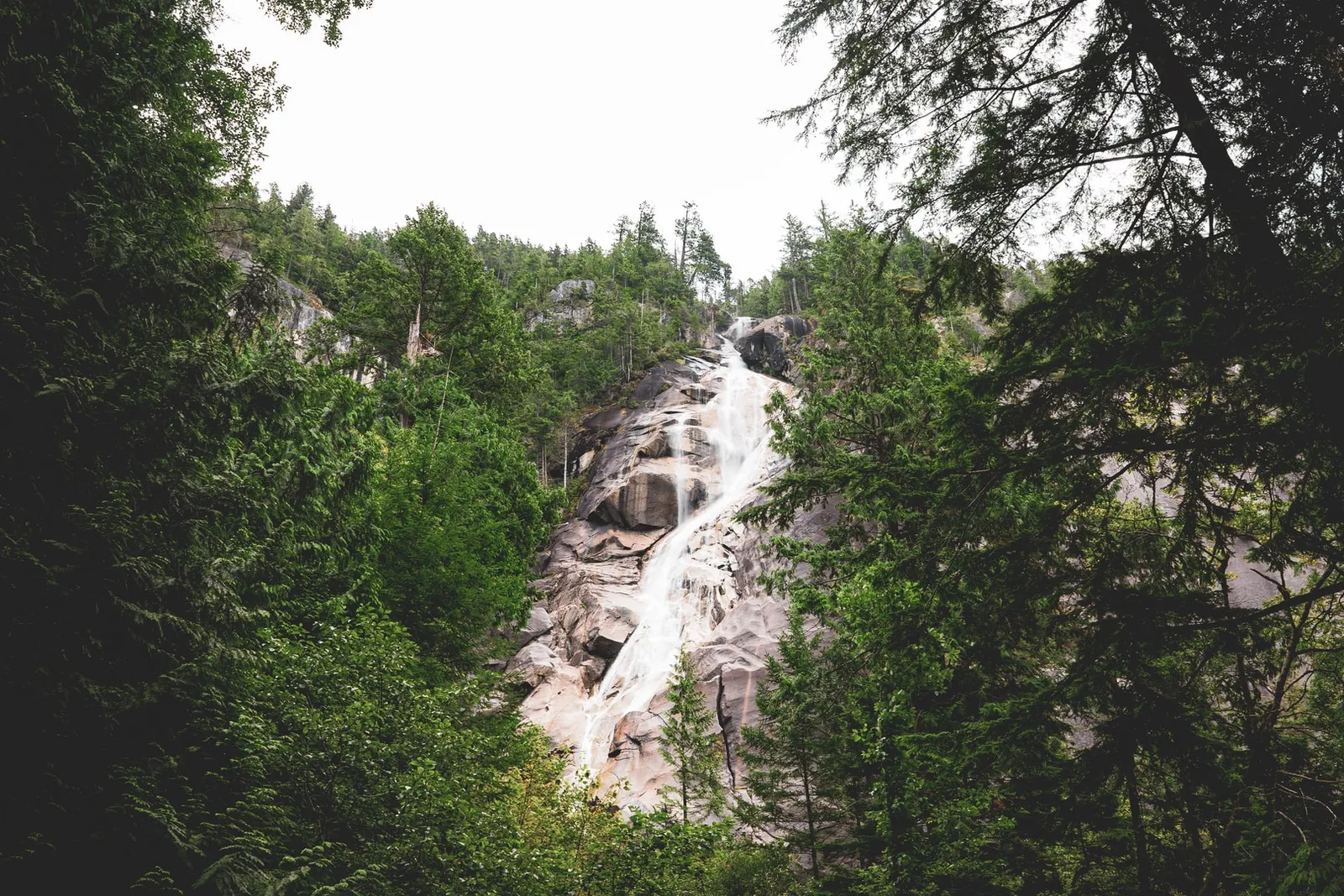 Cascades Shannon
